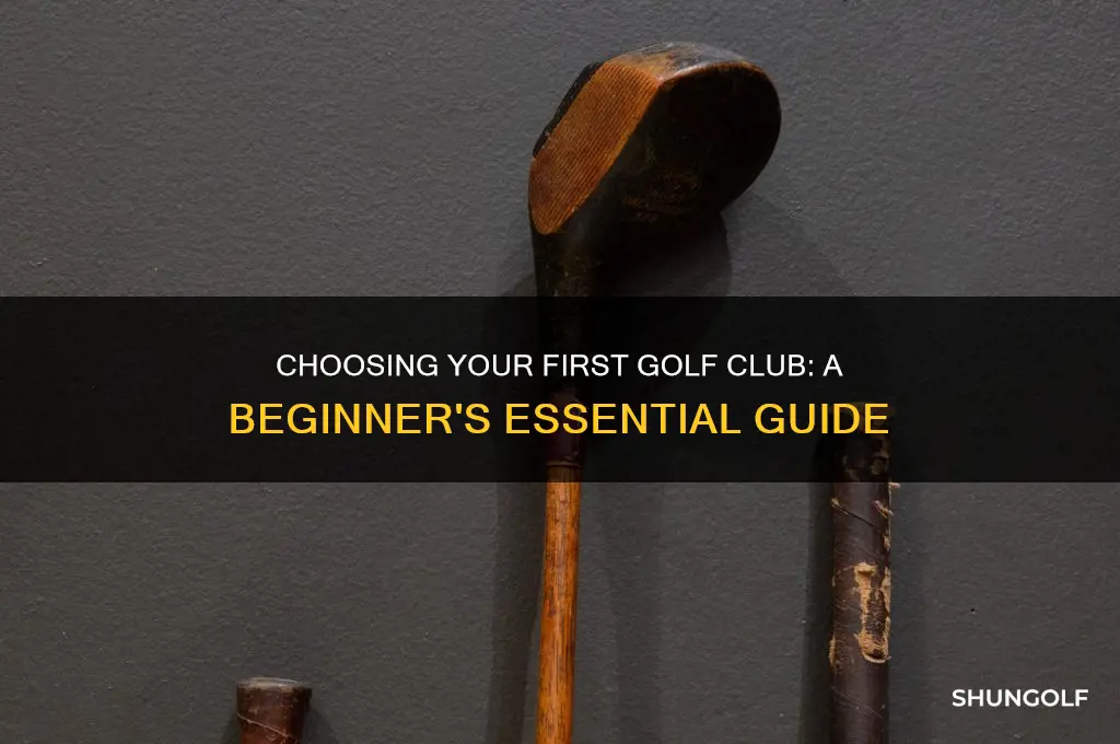 what is the first golf club to buy