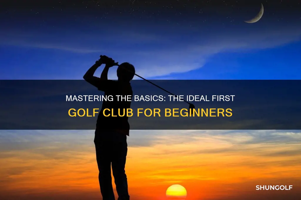 what is the first golf club to learn