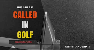 Understanding the Flagstick: What's the Golf Flag Actually Called?