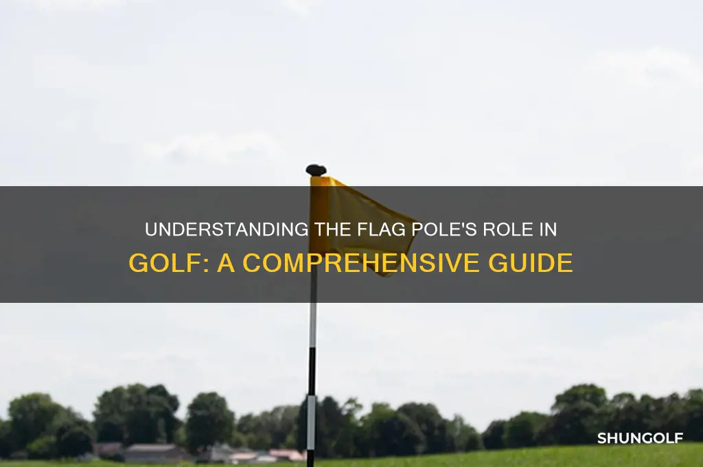 what is the flag pole in golf