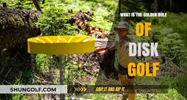 Mastering Disc Golf: The Golden Rule for Every Player