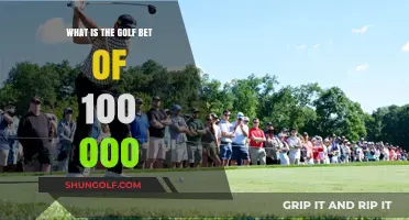 The Ultimate Golf Wager: Unveiling the $100,000 Bet Mystery