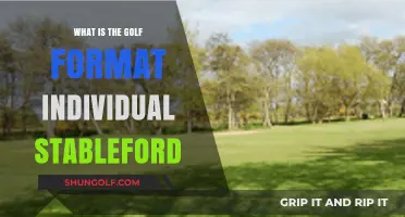 Understanding the Individual Stableford Golf Format: Rules and Scoring