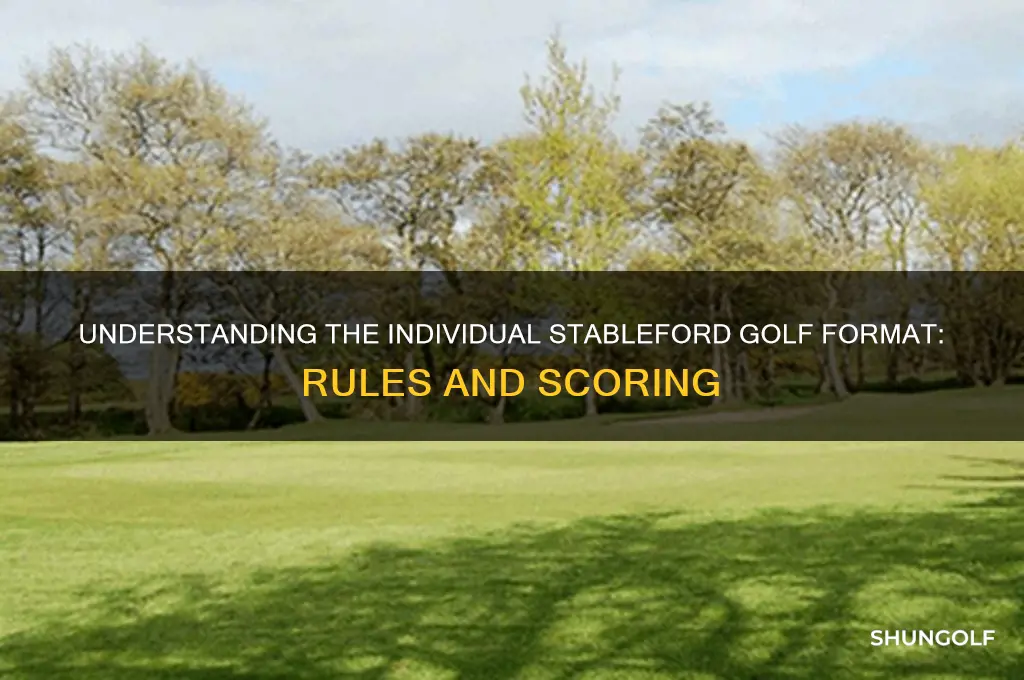 what is the golf format individual stableford