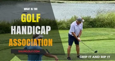 Understanding the Golf Handicap Association: A Beginner's Guide