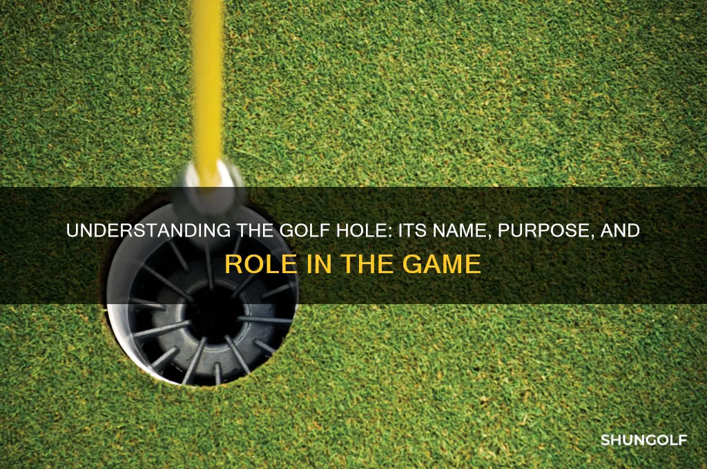 what is the golf hole in the ground called