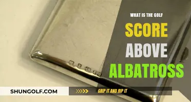 Understanding Golf's Rarest Scores: Beyond the Albatross Achievement