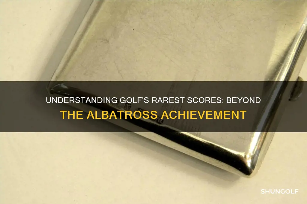what is the golf score above albatross