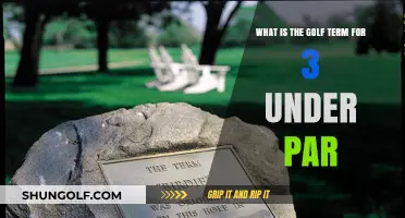 Understanding the Golf Term for Scoring 3 Under Par: A Guide