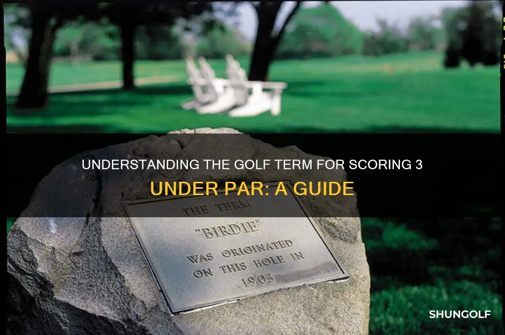 what is the golf term for 3 under par