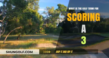 Understanding the Golf Term for Scoring a 3 on Any Hole