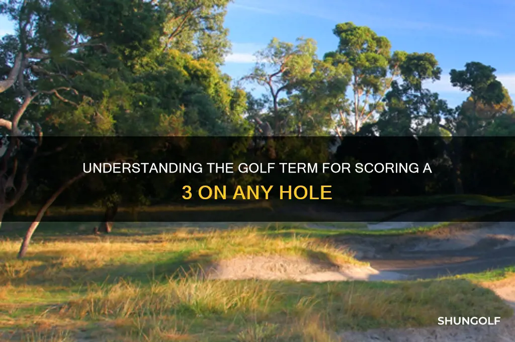 what is the golf term for scoring a 3