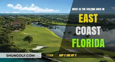 Exploring East Coast Florida's Premier Golfing Destinations and Courses
