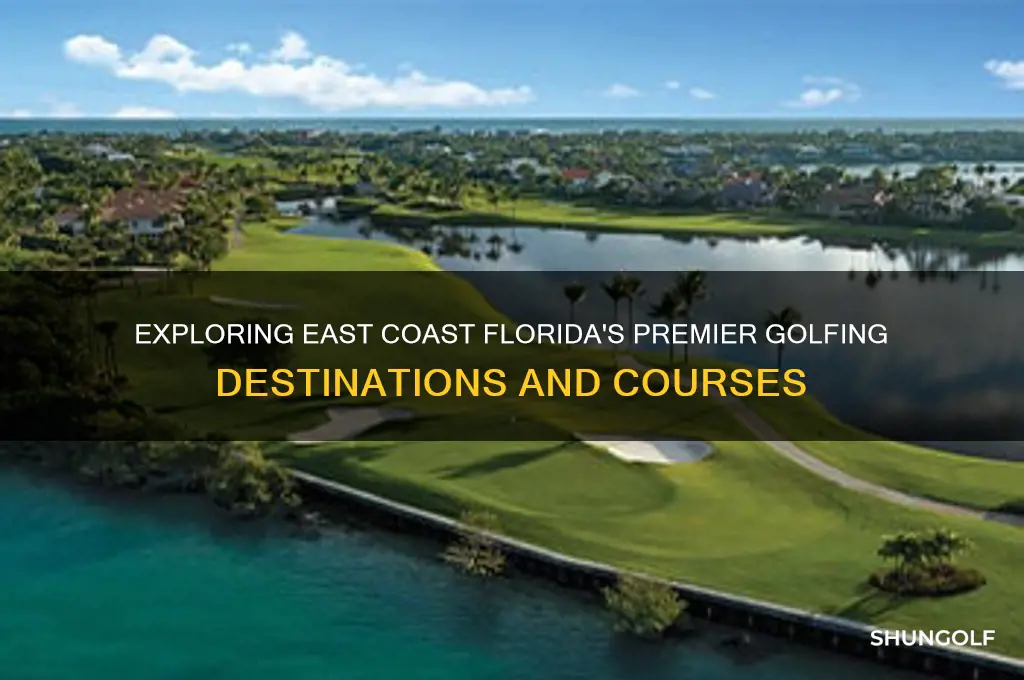 what is the golfing area in east coast florida