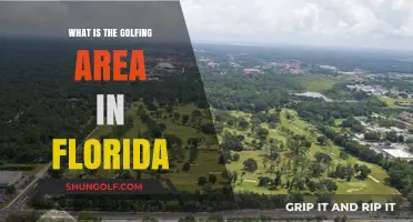 Exploring Florida's Premier Golfing Destinations: A Comprehensive Guide