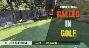 Understanding Golf Course Turf: What is the Grass Called in Golf?