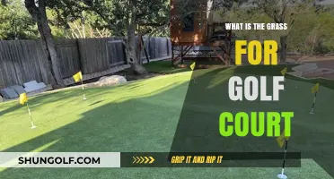 Understanding the Purpose and Types of Grass on Golf Courses