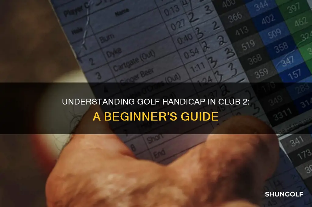 what is the handicap in golf club 2