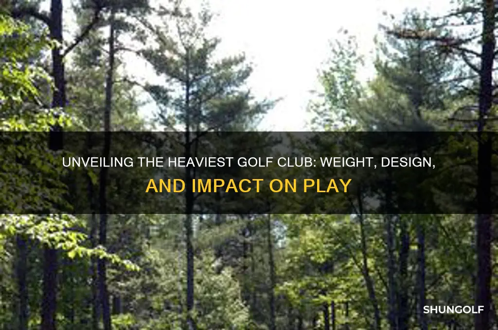 what is the heaviest golf club