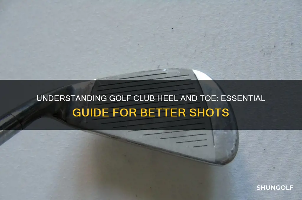 what is the heel and toe of golf club