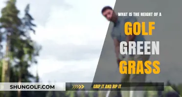 Optimal Golf Green Grass Height: A Guide for Perfect Putting