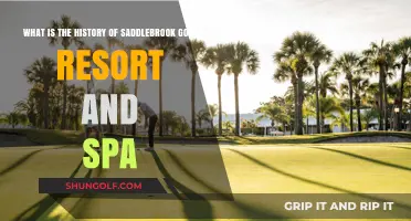 Saddlebrook Golf Resort & Spa: A Journey Through Its Rich History