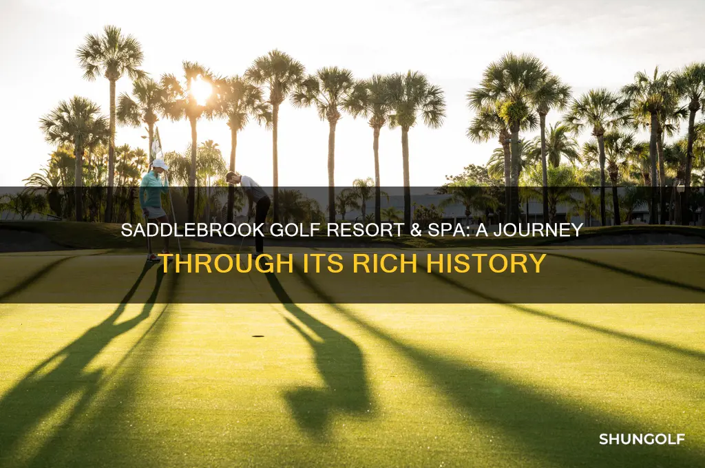 what is the history of saddlebrook golf resort and spa