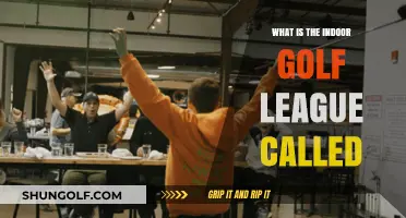 Discover the Name of the Popular Indoor Golf League