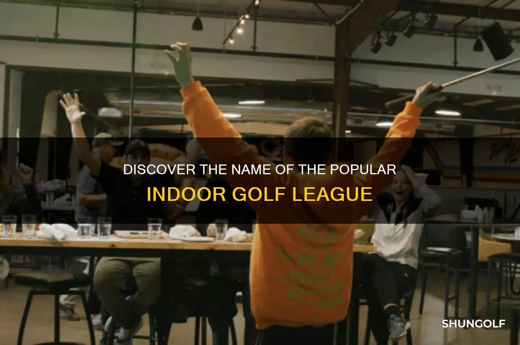 what is the indoor golf league called