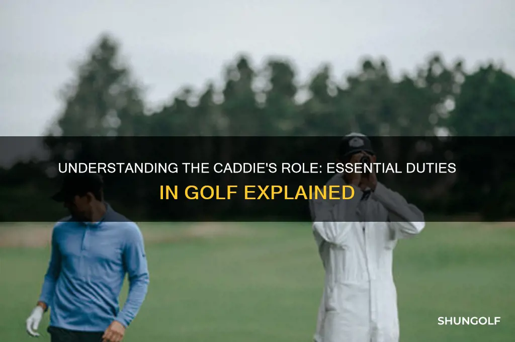 what is the job of a caddie in golf
