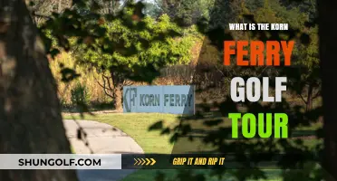Exploring the Korn Ferry Tour: Golf's Premier Developmental Circuit