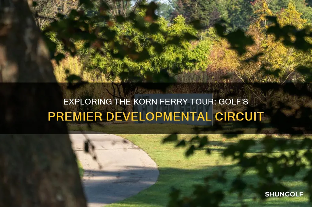 what is the korn ferry golf tour