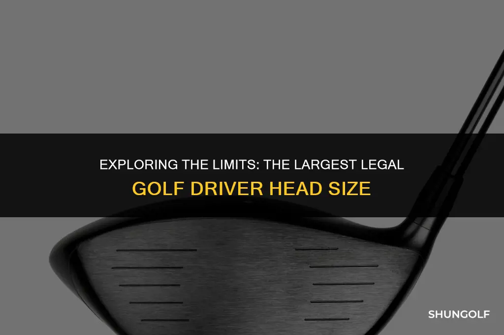 what is the largest legal size golf driver head