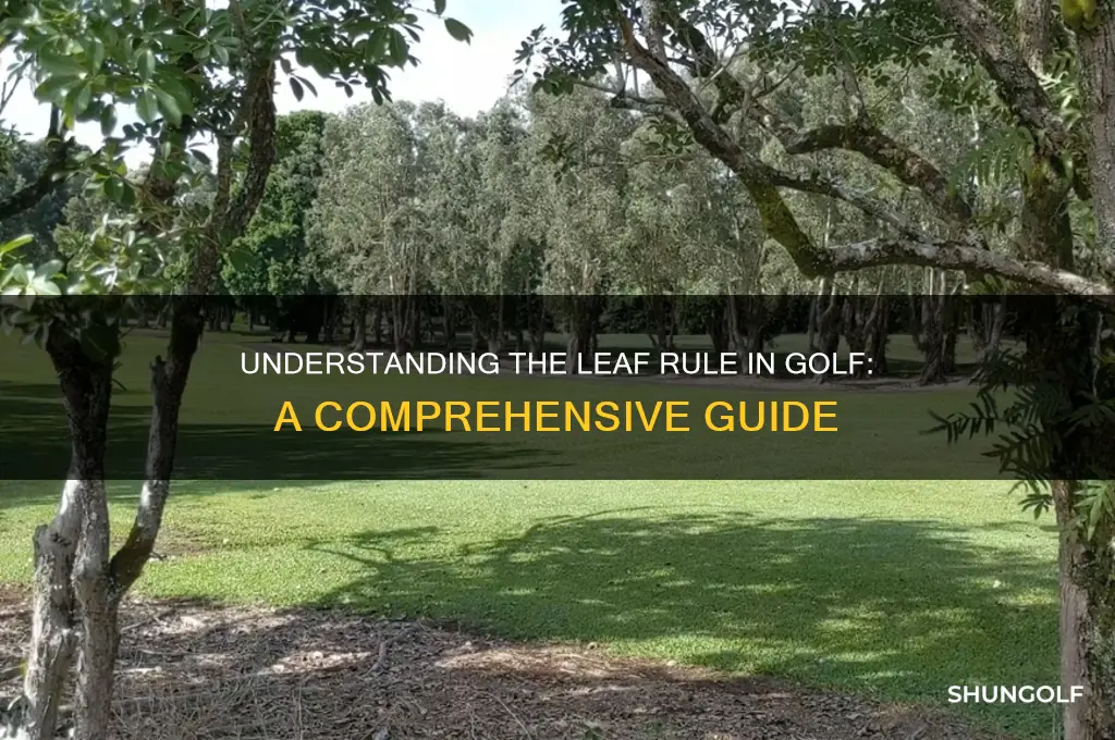 what is the leaf rule in golf