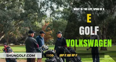 Exploring the Lifespan of Volkswagen's e-Golf: Durability and Longevity