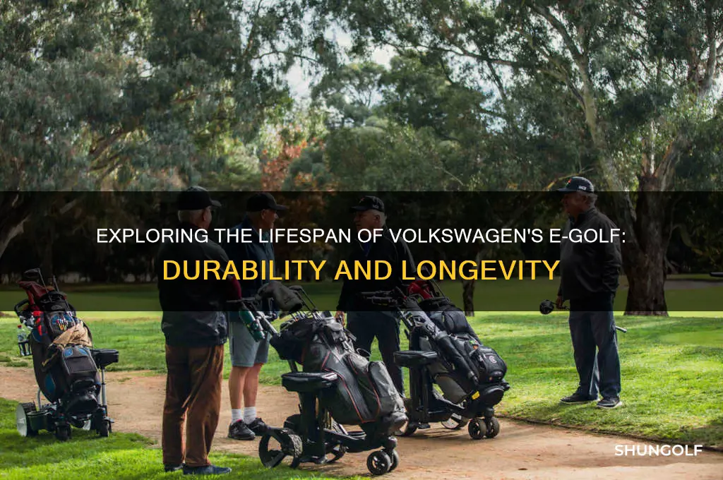 what is the life span of a e golf volkswagen