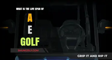 Exploring the Durability and Life Span of the e-Golf