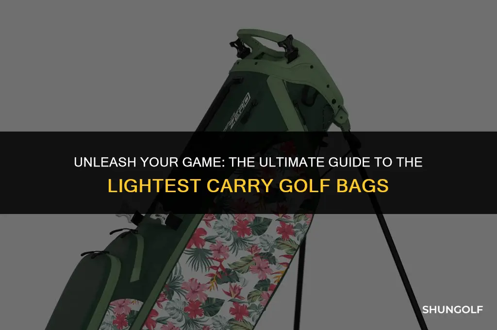 what is the lightest carry golf bag