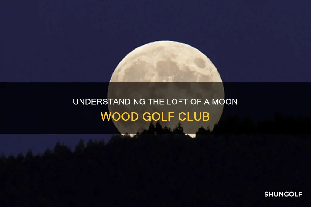 what is the loft of a moon wood golf club