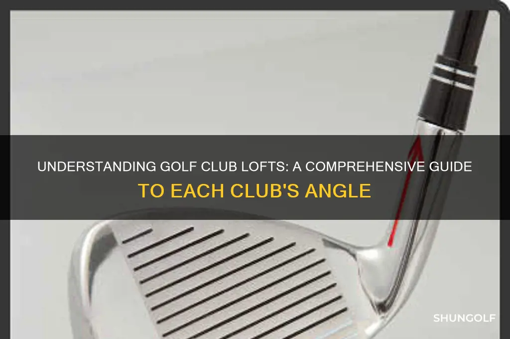 what is the loft of different golf clubs