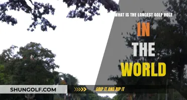 Exploring the World's Longest Golf Hole: A Record-Breaking Challenge