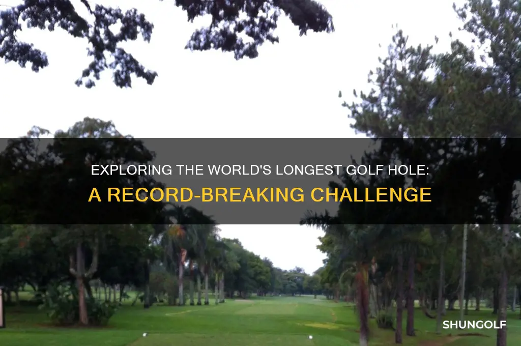 what is the longest golf hole in the world
