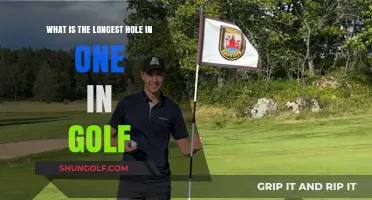 The Astonishing Record: Longest Hole-in-One in Golf History