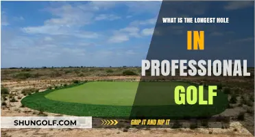 Exploring the Longest Hole in Professional Golf: A Record-Breaking Challenge