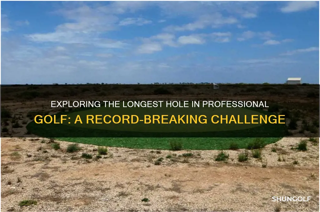 what is the longest hole in professional golf