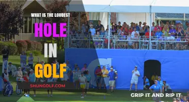 Unveiling Golf's Loudest Hole: A Surprising Acoustic Phenomenon Explained