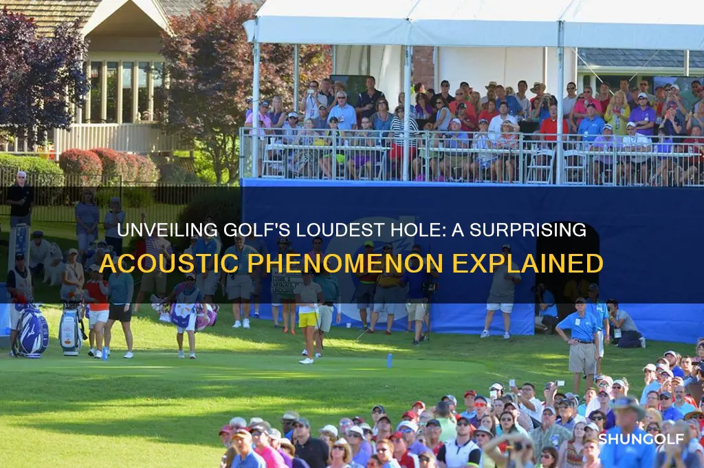 what is the loudest hole in golf