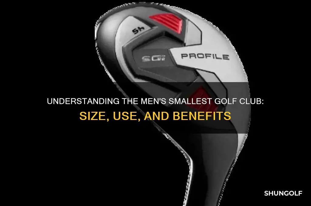 what is the mens smallest golf club