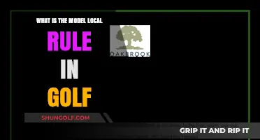 Understanding the Model Local Rule in Golf: A Comprehensive Guide