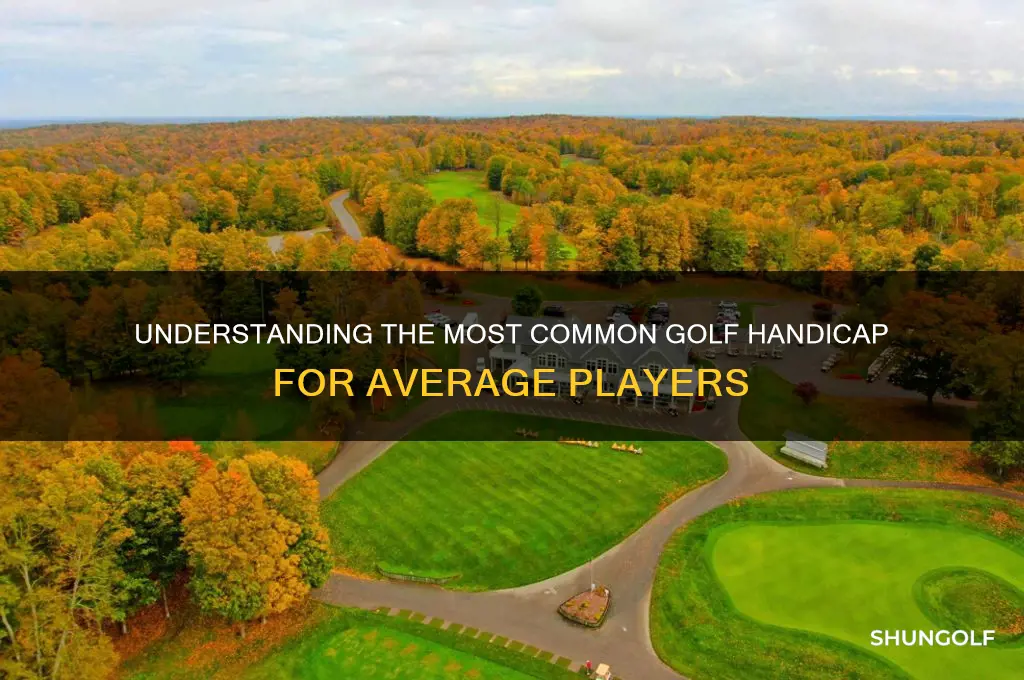 what is the most common golf handicap